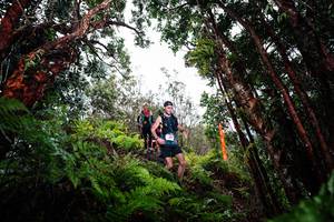 BIB: 
                            <button type="button" onclick="openModal(26202468)" class="btn btn-primary btn-sm float-right btn-popup" data-toggle="modal" data-target=".modal-high-quality">
                        <i class="fas fa-shopping-cart"></i> Add to Cart
                    </button>
                                            <button type="button" onclick="isThisMe(26202468, true)" class="btn btn-success btn-sm float-right btn-popup btn-isme hidden" data-toggle="tooltip" data-placement="bottom" title="นี่คือรูปของคุณใช่ไหม คลิกที่นี่เพื่อเอาเข้าอัลบั้ม">
                        <i class="fas fa-plus"></i> Add to album
                    </button>
                    <button type="button" onclick="isThisMe(26202468, false)" class="btn btn-warning btn-sm float-right btn-popup btn-isnotme hidden">
                        <i class="fas fa-ban"></i> Remove from album
                    </button>